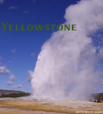 Yellowstone Old Faithful erupting