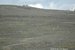 A herd of pronghorn on the sagebrush fields next to the Green River