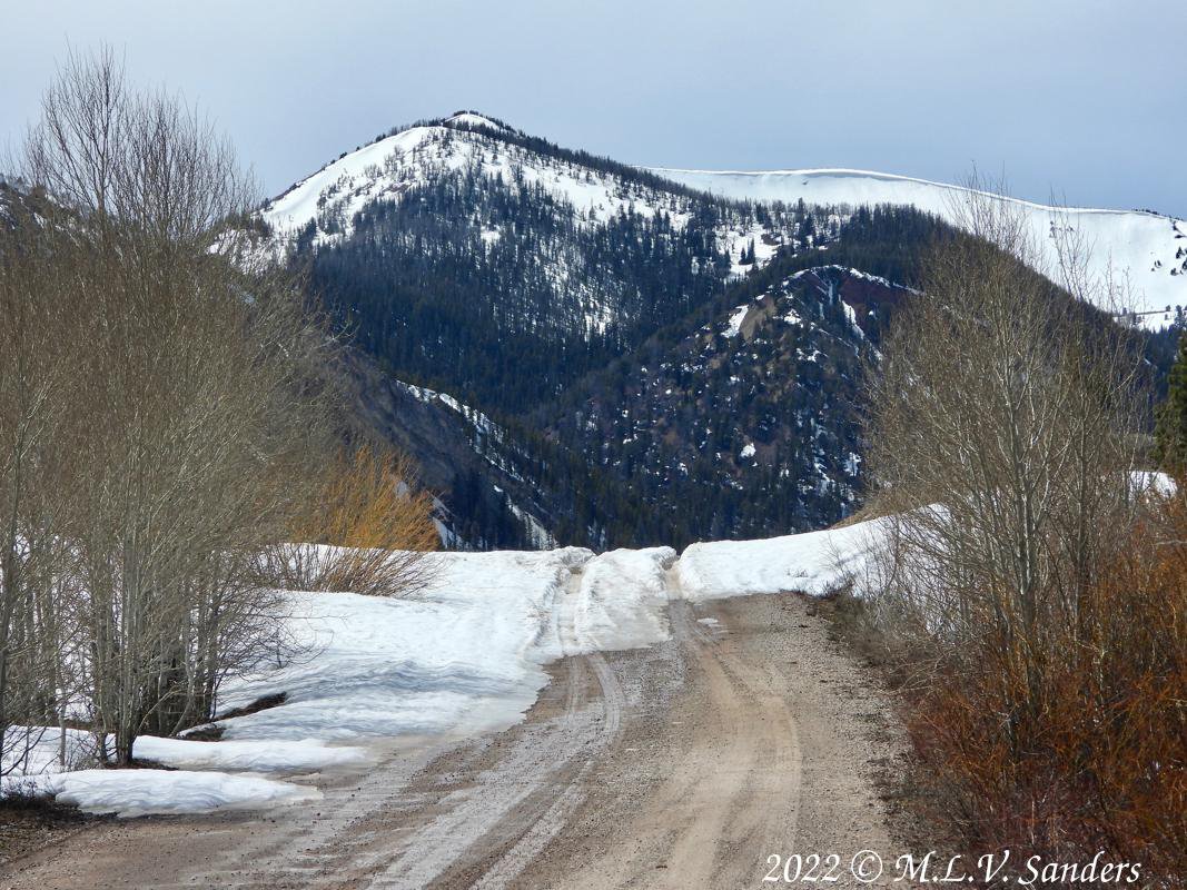 This is where we stopped on Middle Piney Road because of the snow. The moose we encountered ran across the road here.