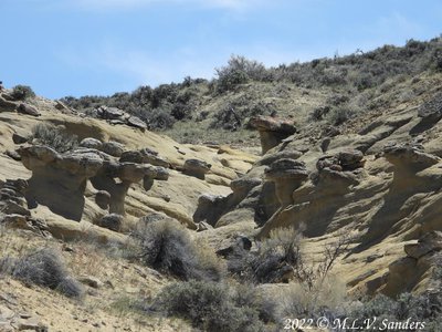 Cool little hoodoos we found.