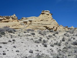 There were numerous small holes and caves in the yellow rocks.