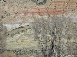 Small mesa behind the river access. Notice the red and yellow rocks. Some rocks even have a purple hue