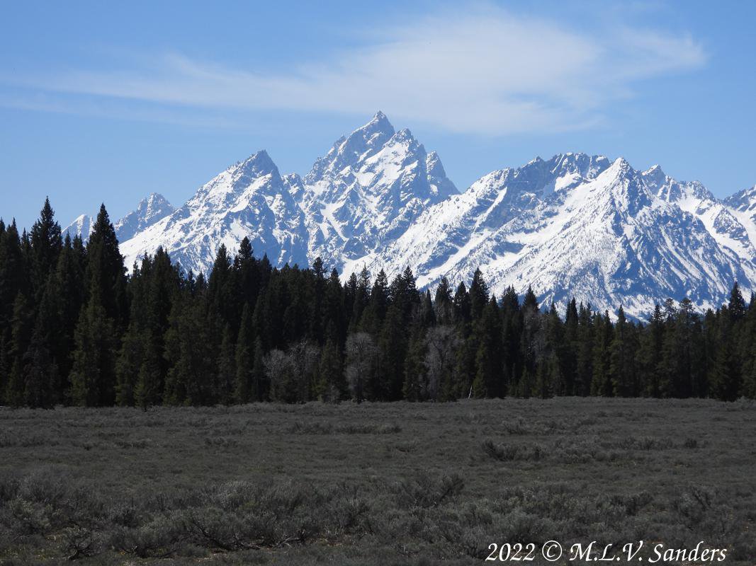 spring Grand  Teton National Park