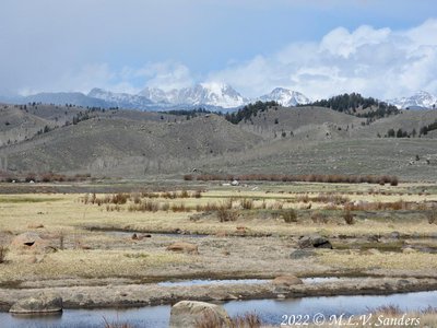 the wetlands that aren't very wet around Soda Lake