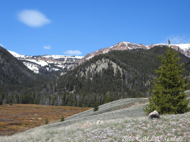 Wyoming Range Straight Creek is the opposite of straight. It snakes this way and that across the valley