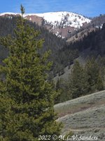 The view from our lunch spot, Straight Creek, Wyoming Range.