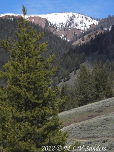 The view from our lunch spot, Straight Creek, Wyoming Range.