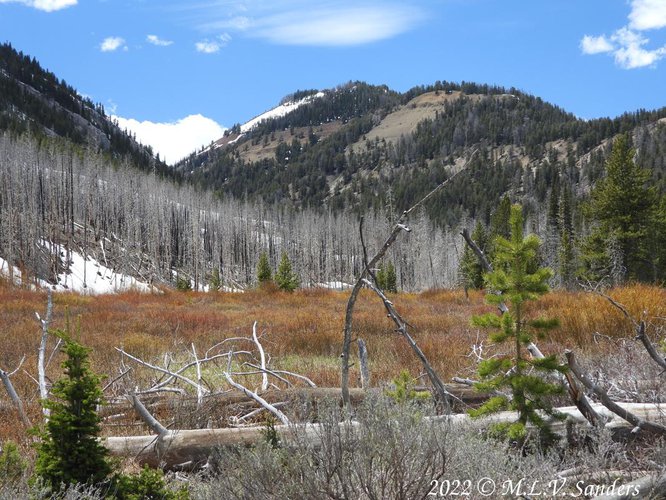 Looking away from the Sacajawea campground. The 2012 Fontenelle forest fire came very close to the campground.