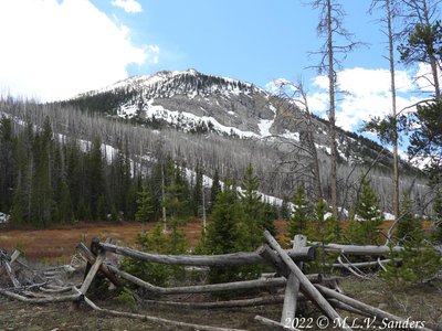 An old wood fence along the edge of the Sacajawea campground. Wyoming Range.