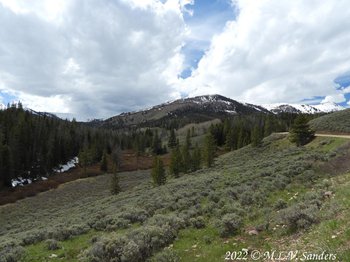 Forest Service road FS 10046 headed north from Middle Piney road is very scenic.