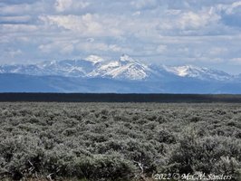 A view of the Wind River Range from the Mesa. Sublette County