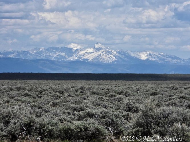 A view of the Wind River Range from the Mesa. Sublette County