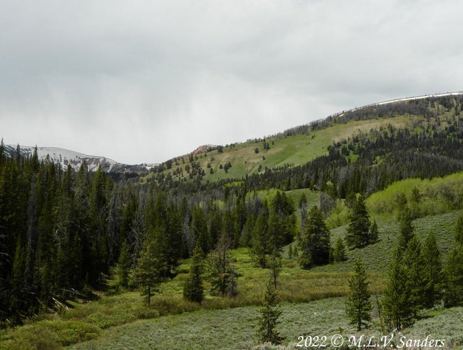 Now we are driving around, headed north on Foerst Service road FS 10046 and vaguely toward home