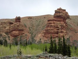 We had been driving through a pine forest when we went around a corner and saw this, the Red Castles. What a surprise!